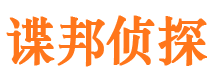 陇西侦探公司